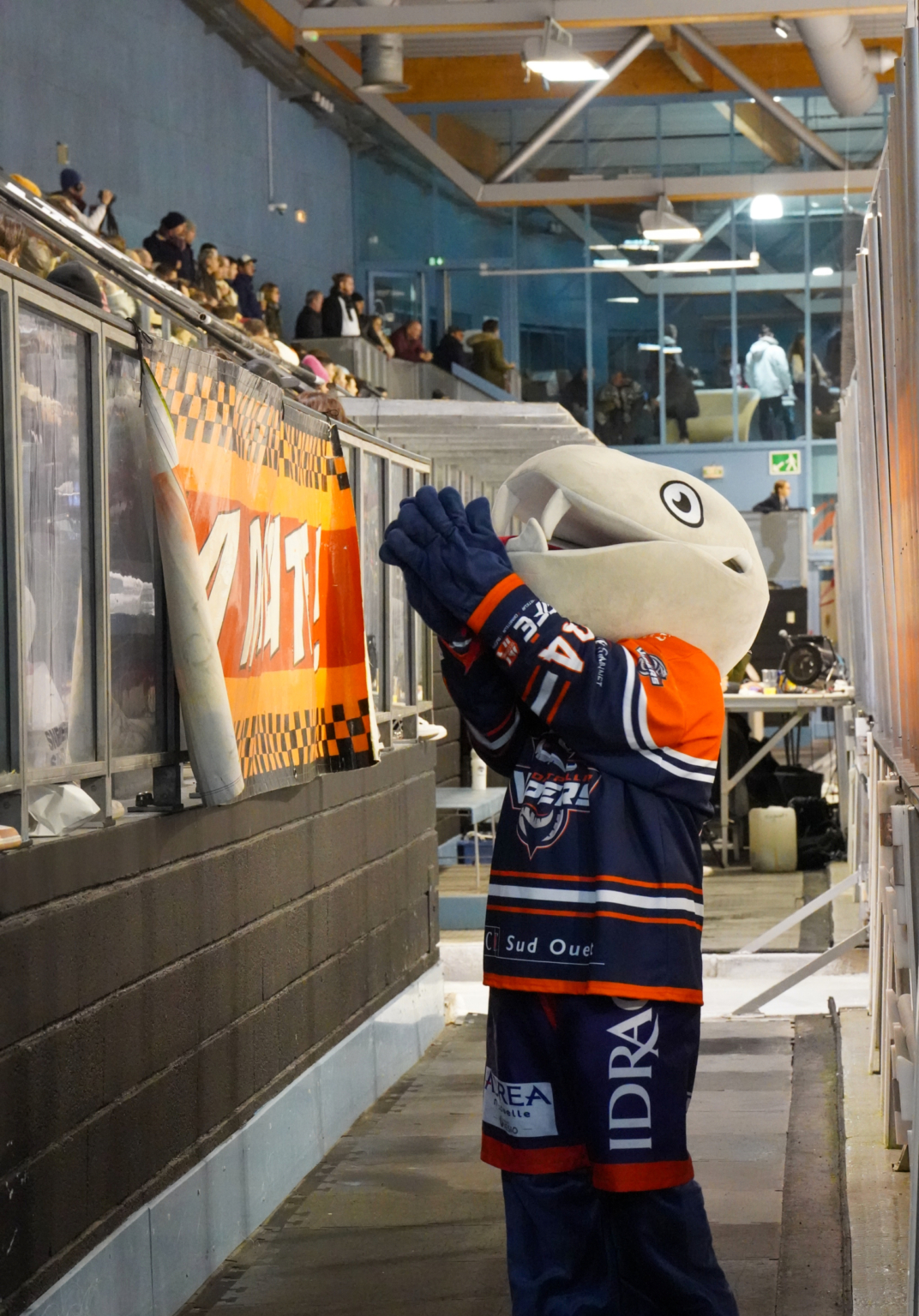 Maillot Hockey Vipers Montpellier – Taille Adulte, Neuf Avec étiquettes