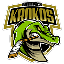 Logo NIMES