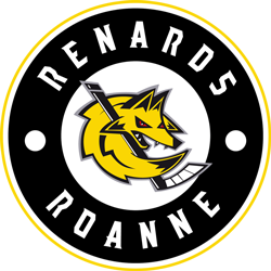 Logo ROANNE