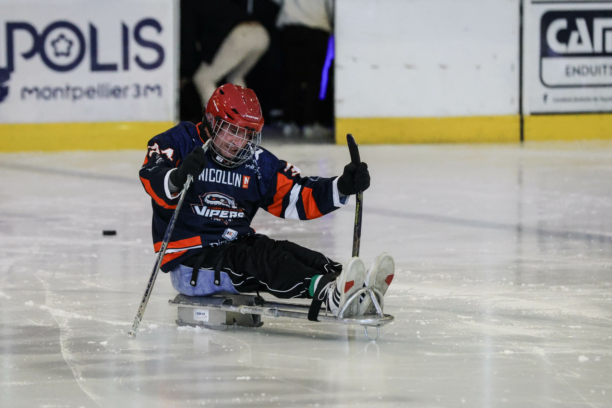 Para-hockey